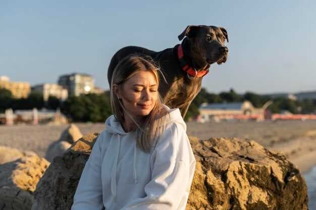 10 Dog Breeds That Live the Longest - A Comprehensive Longevity Guide