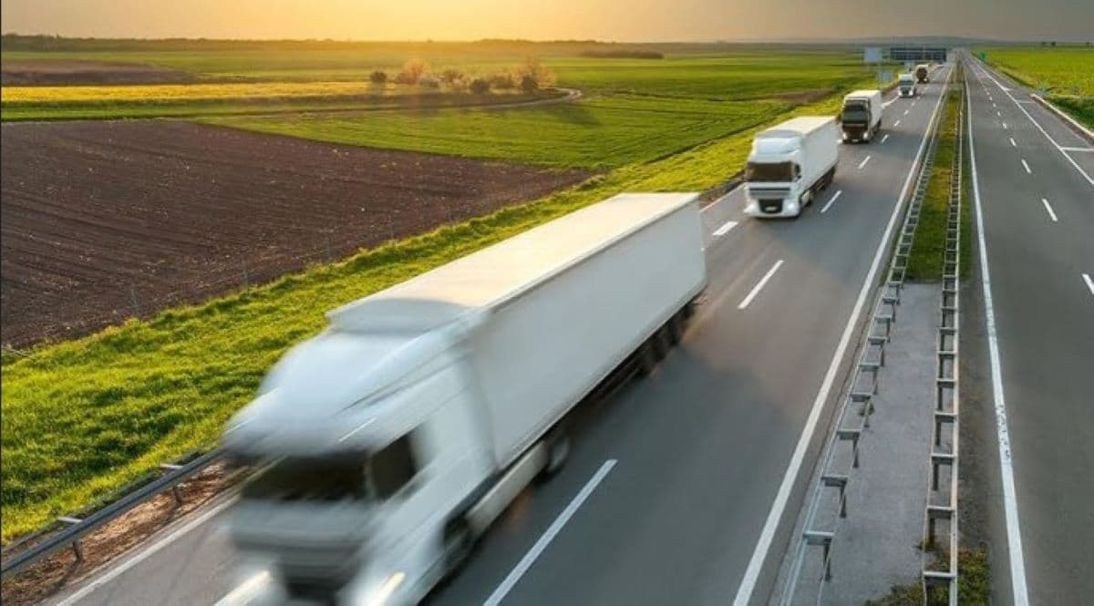 Analysis of the 2025 Second Quarter Slowdown in International and National Road Freight Transport