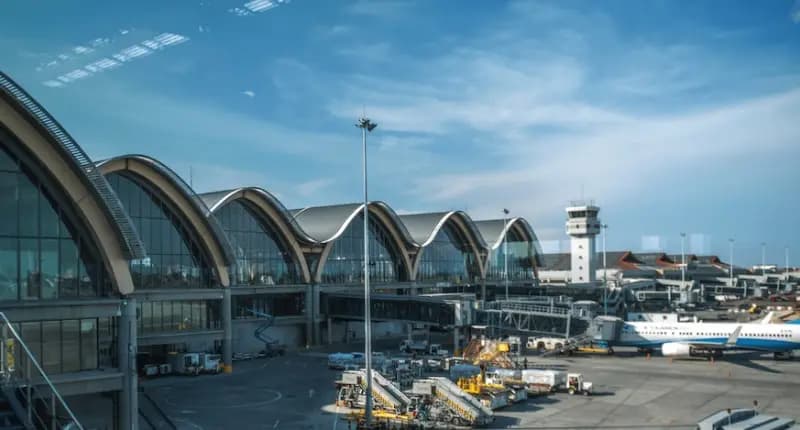 How Cargo Traffic Evolved at NAIA and MCIA in Early 2025: Trends and Implications for Global Transport