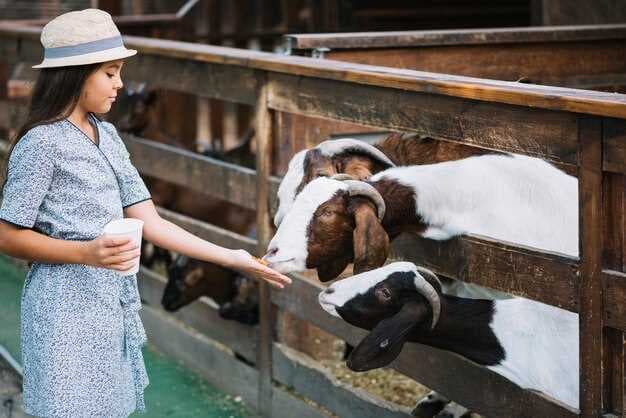 Animal Rights Group Alleges Fairlife Is Still Sourcing Milk From Abusive Farms