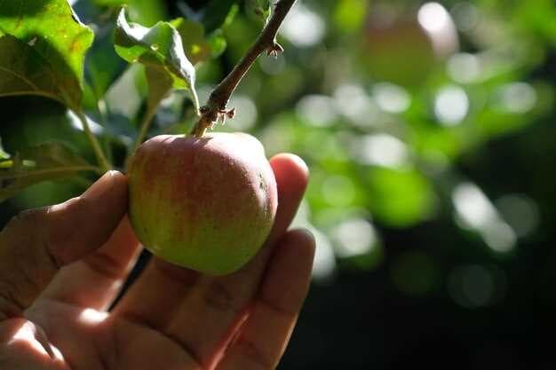 Apple's 2030 Carbon-Neutral Pledge Extends to Itself and Its Suppliers