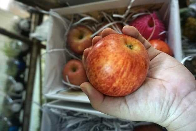 Apple's Global Supply Chain - Economic and Geopolitical Implications