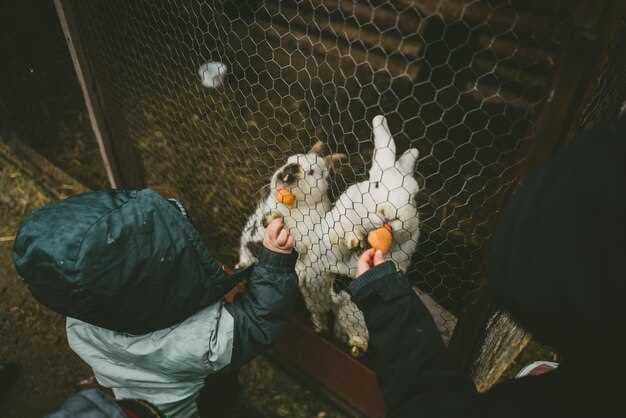 Bird Flu Hits Dairy Cows - Consolidation Amplifies Farm Risk