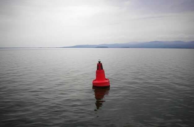 Blank Sailing Definition - Ways to Avoid Its Impact