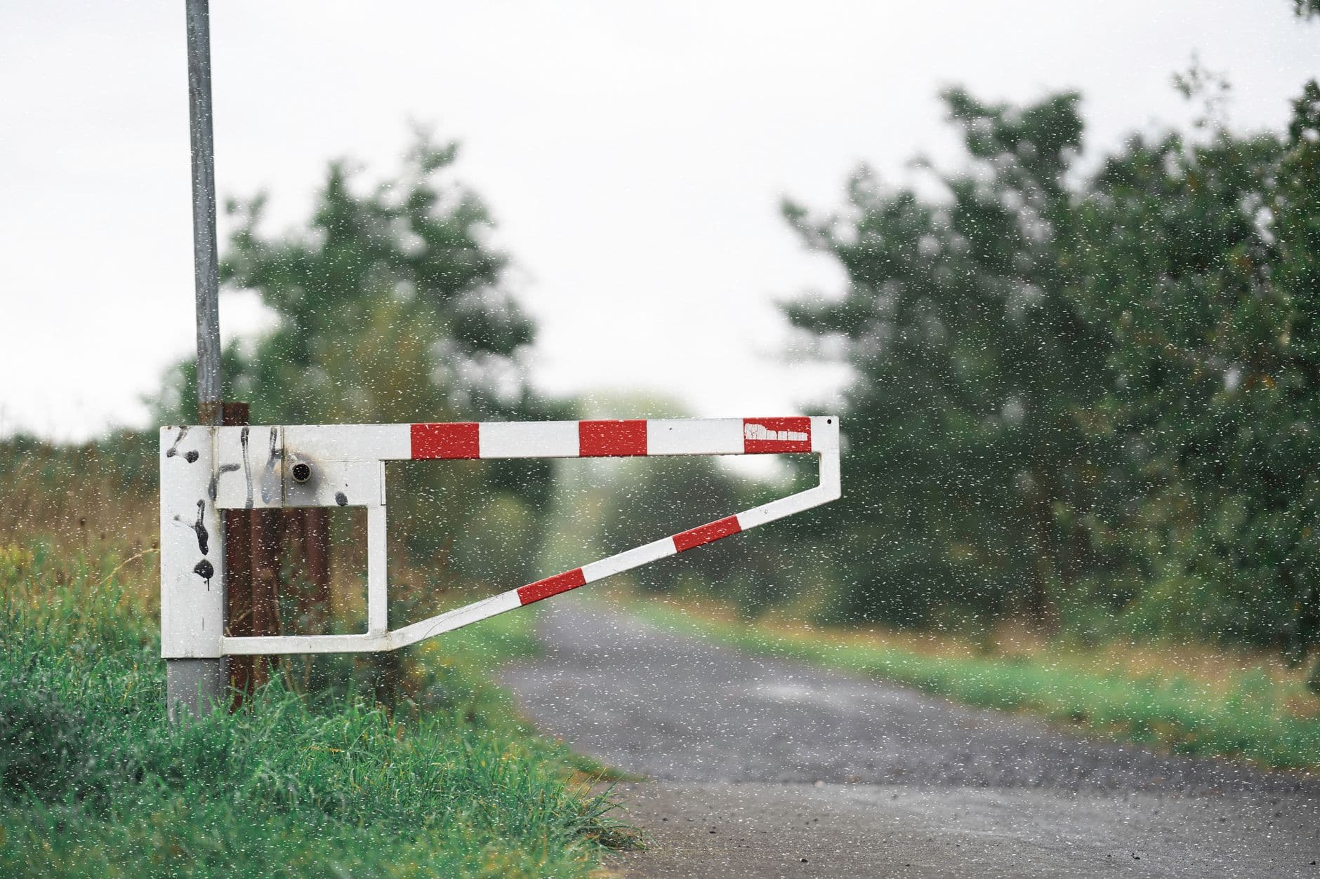 The Busiest Land Border Crossings in Europe in 2026 (And Why the Eastern Rim Shrank to One Gate)