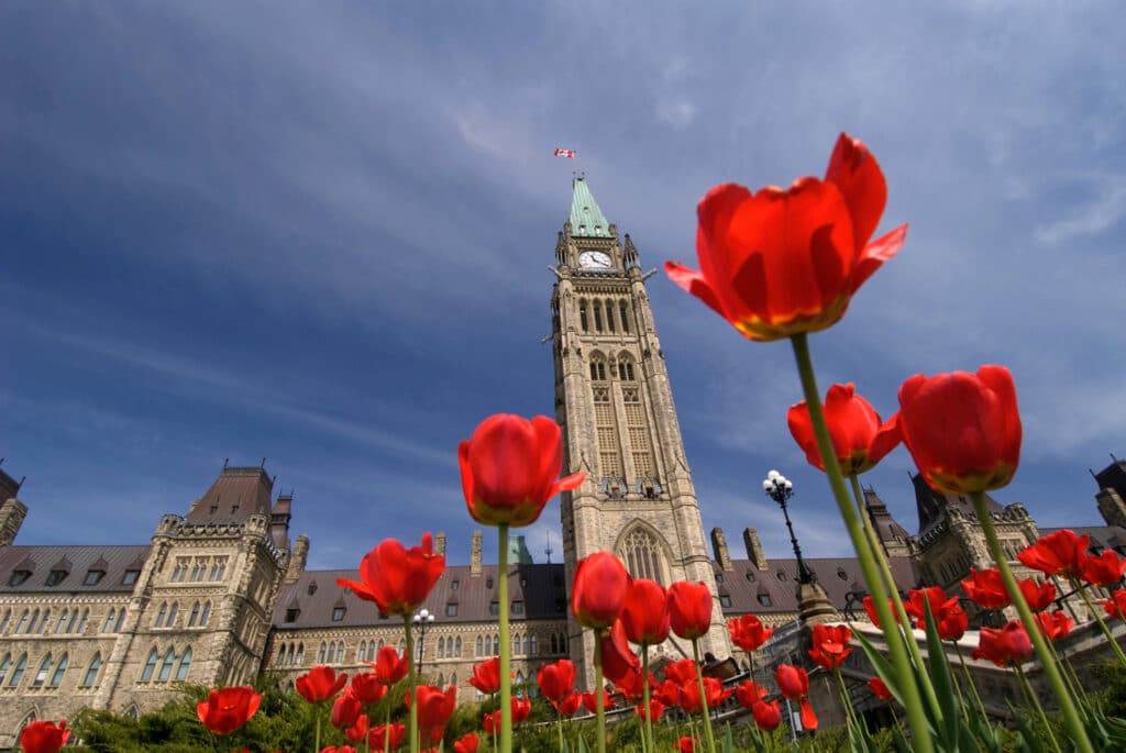 Urgent Recommendations from the Canadian Trucking Alliance for Federal Budget