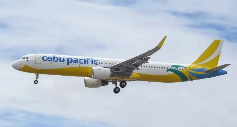 Insights into Cebu Pacific’s Passenger Volume in August 2025 and Its Logistics Implications