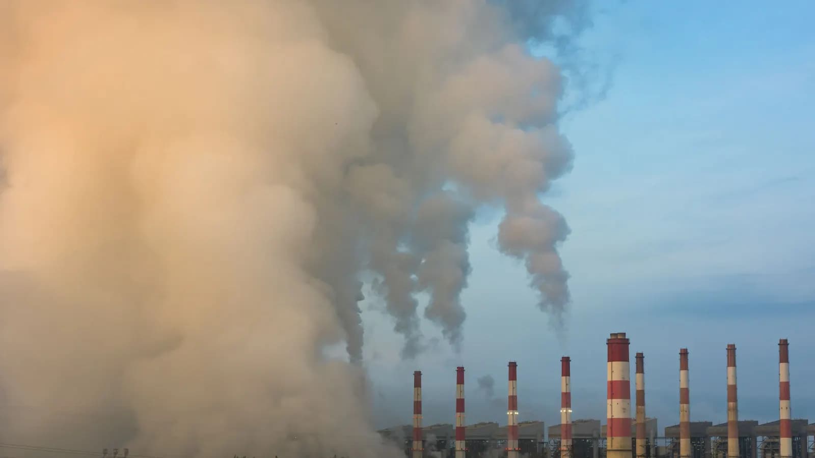 Evaluating Fashion Brands’ Climate Commitments: Shein and Lululemon Under Scrutiny
