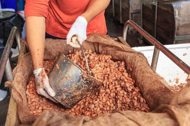 Cocoa Exports Drive Deforestation in Côte d’Ivoire - The Urgent Need for Sustainable Cocoa