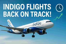 How IndiGo's Flight Cancellations are Shaking Up Domestic Cargo Capacity in India