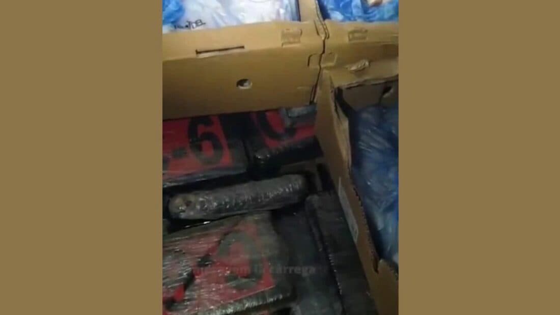 Truck Driver Detained on AP-7 Carrying 350 Kilos of Cocaine and Hashish Concealed in Freight