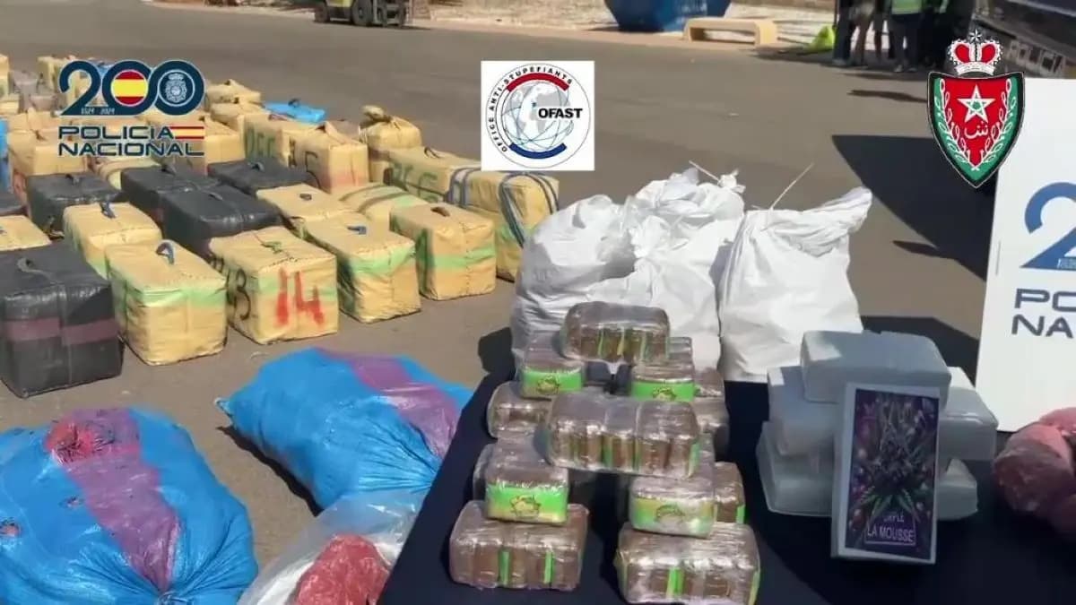 A Look into How Drug Smuggling Exploits Agricultural Logistics in Spain