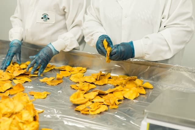 Food Manufacturing Fuels Growth in Philippine Industry for May