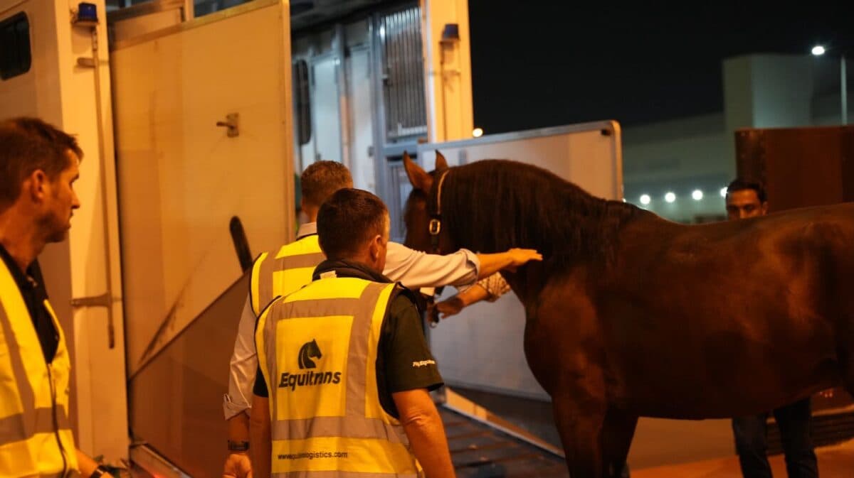 Behind the Scenes of Equitrans' Precision Horse Logistics for Abu Dhabi’s Equestrian Arts Launch