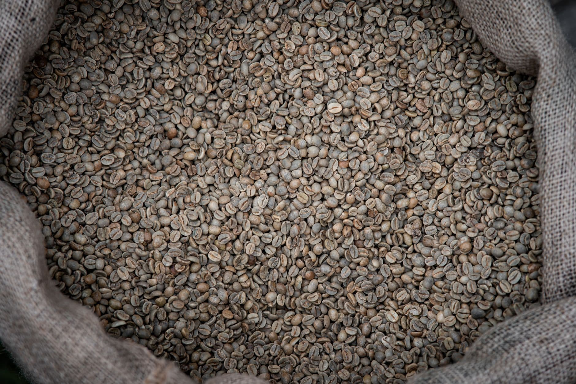 EUDR 2026: What Importers Actually Must Do Now