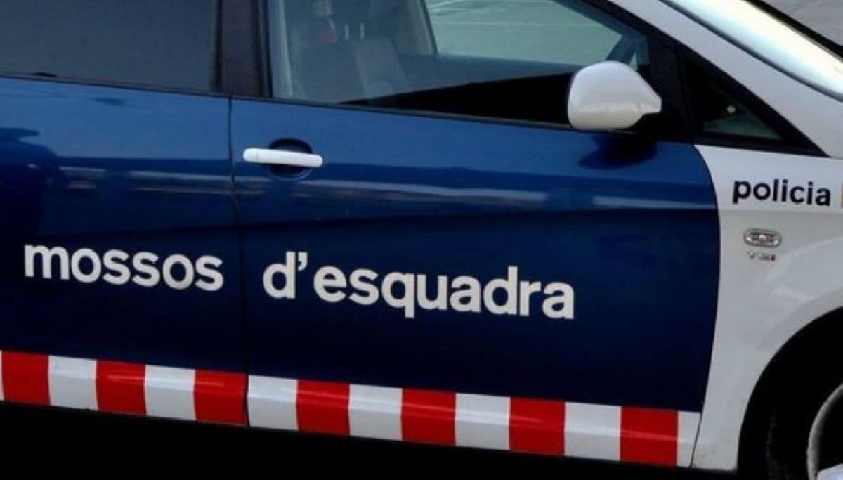 Arrest Made in Fatal Hit-and-Run Involving Truck on N-II Highway Near Tordera, Barcelona