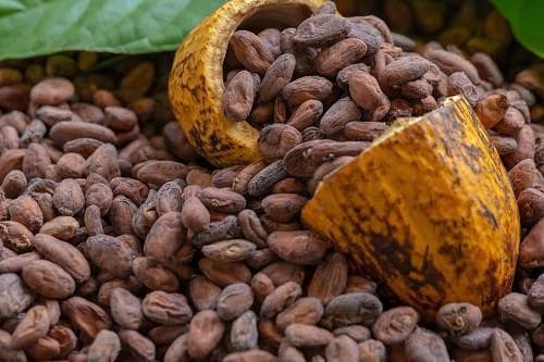 Ghana Reaches Agreement on Cocoa Freight Charges for 2025/26 Crop Season in Face of Global Shipping Fluctuations
