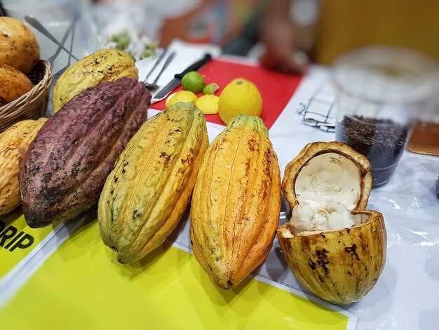 Global Cocoa Shortage - Impacts on Procurement and the Supply Chain