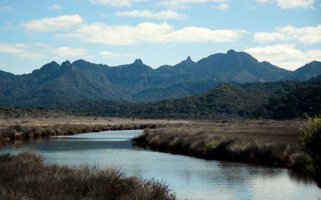 Understanding the Impact of The Warehouse Group’s Halt on Direct Shipping to Great Barrier Island and Its Logistics Implications