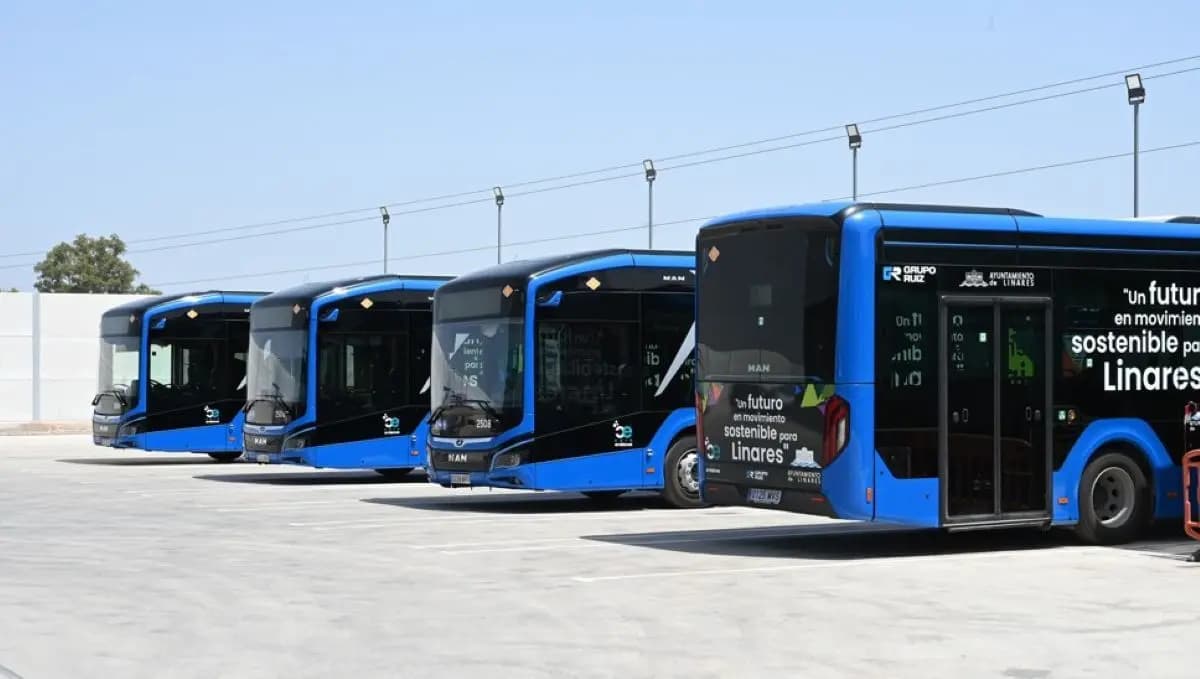 Urban Transport Upgrades: Grupo Ruiz's Initiative for Linares
