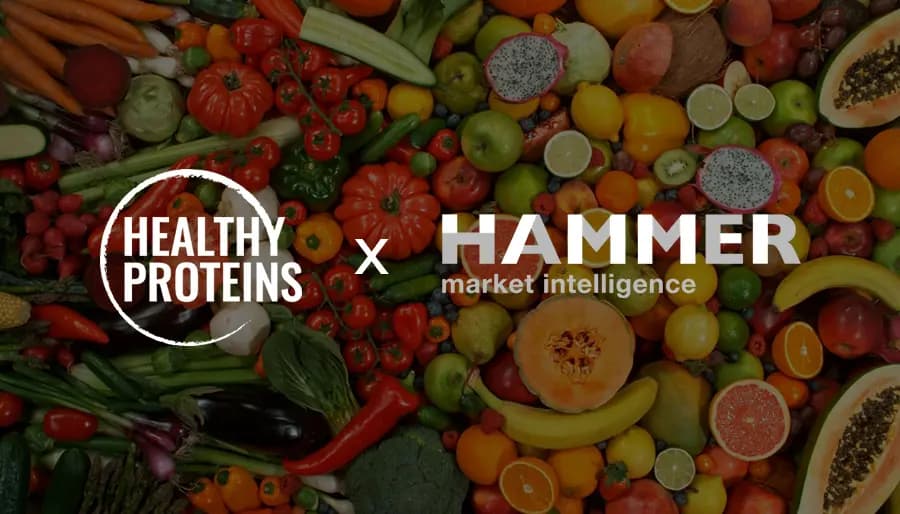 HealthyProteins Advances Strategic Growth with Hammer’s Market Intelligence and Consulting Expertise