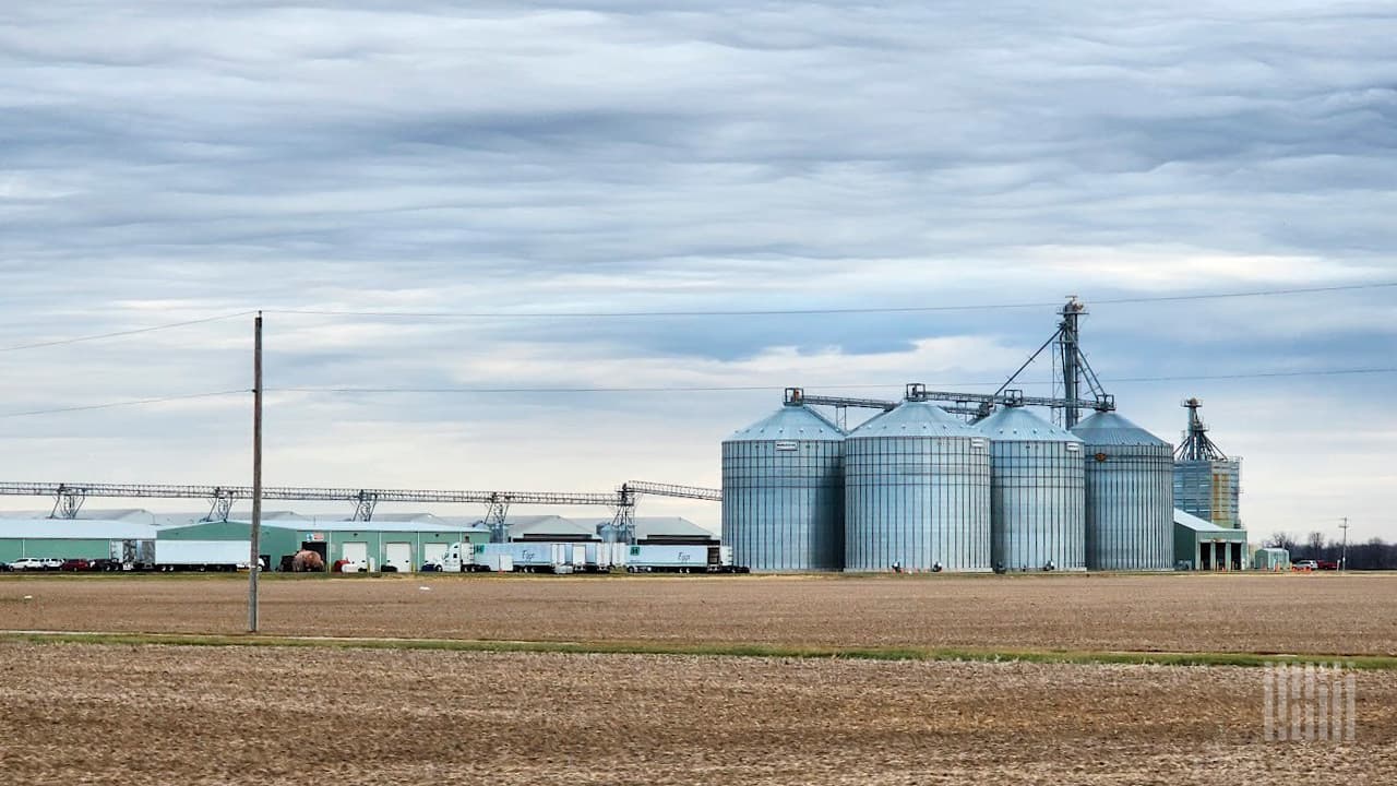 Understanding the Impact of Hillandale Farms' Acquisition on US Egg Supply and Logistics