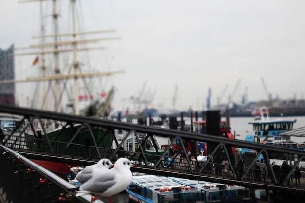 IDC Calls EU-Wide Port Strike - Implications for Europe’s Ports and Global Supply Chains