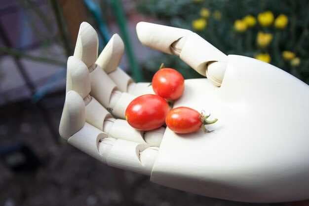 Innovative Technologies to Combat Food Waste - Smart Solutions