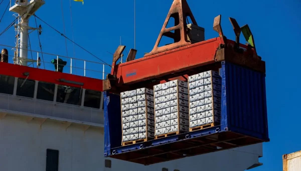 Navigating Challenges in International Transport: Insights from FETEIA-OLTRA's Recent Meetings