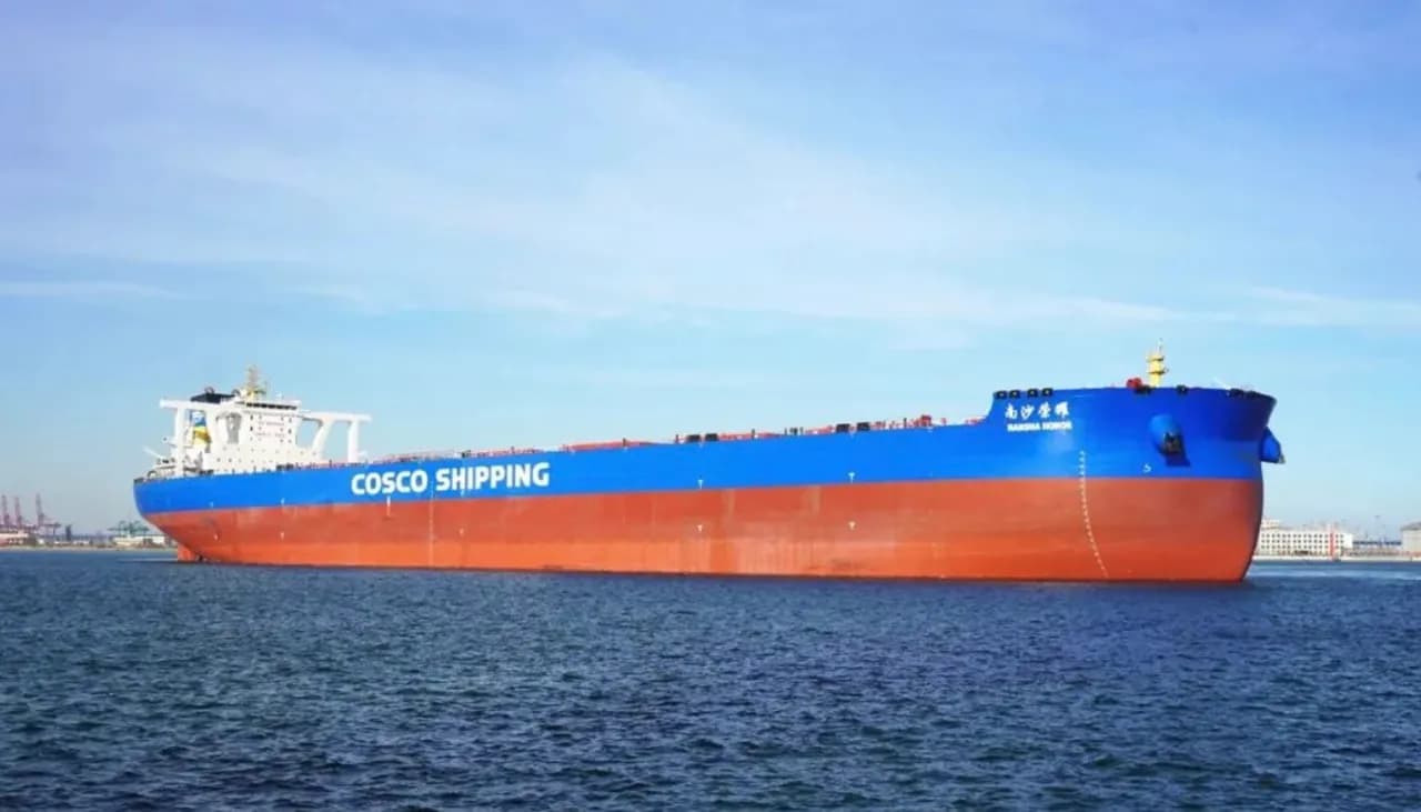 Major Shipping Company's Ambitious Fleet Expansion Initiative