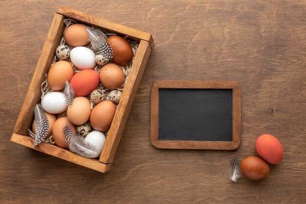New Report Finds 5 Major Egg Companies May Be Using Avian Flu to Hike US Egg Prices