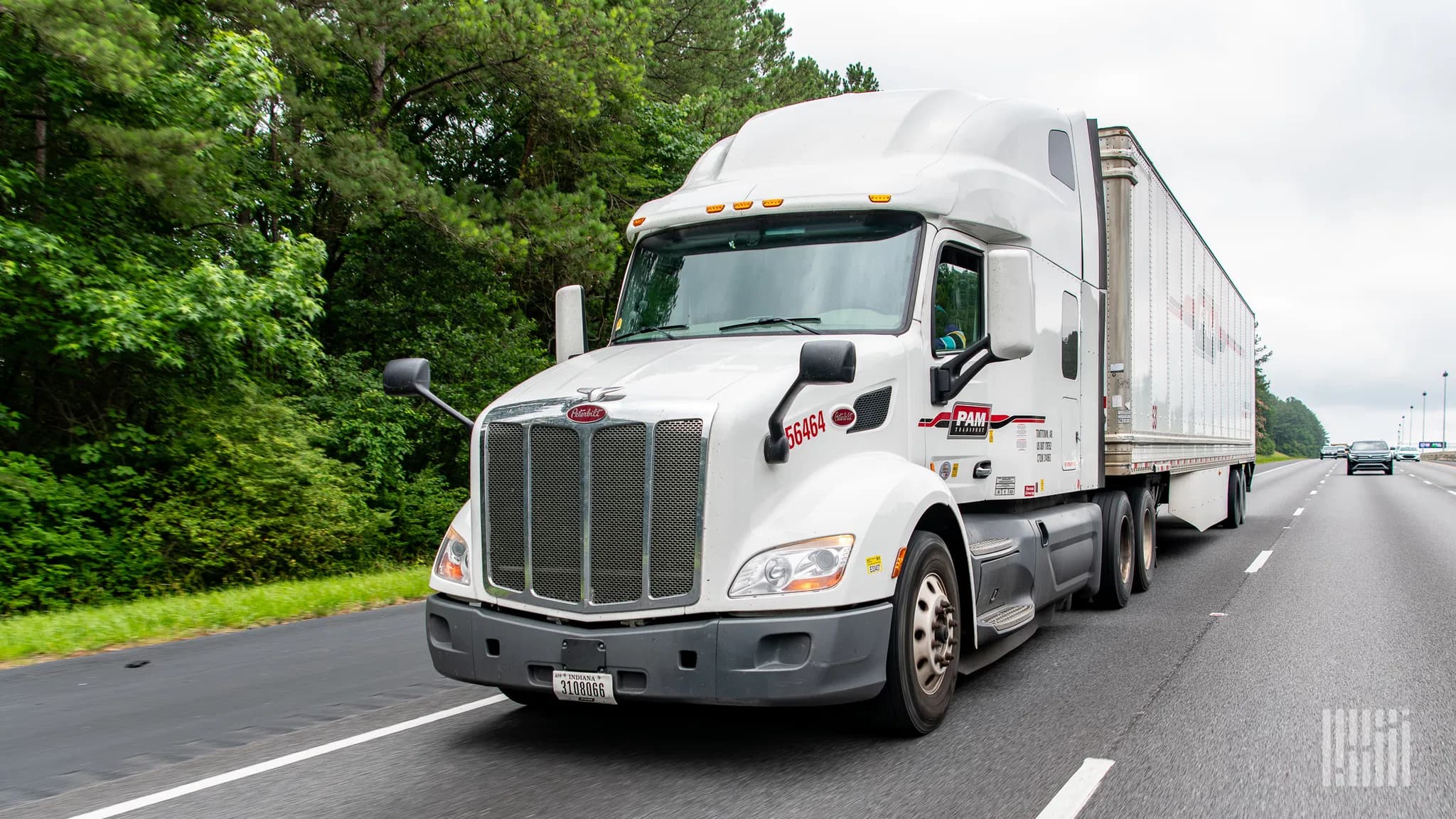 Pamt Corp Faces Leadership Transition Following Losses