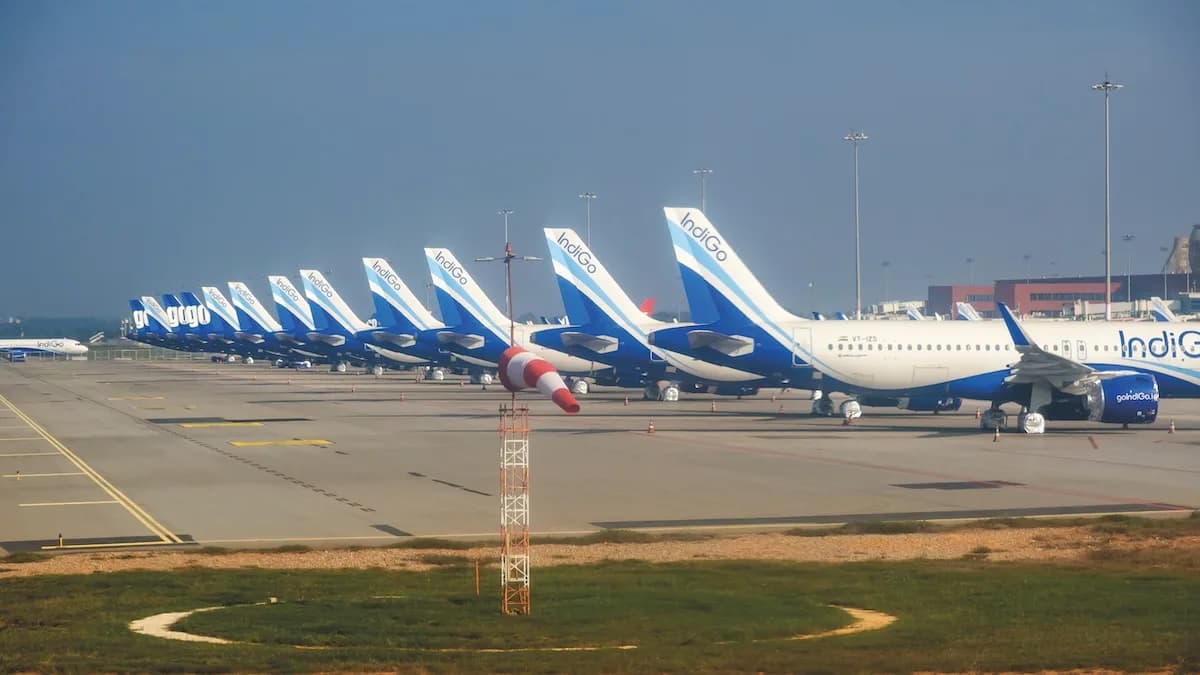 Exploring India's Perishable Cargo Sector and Its Impact on the Logistics Industry