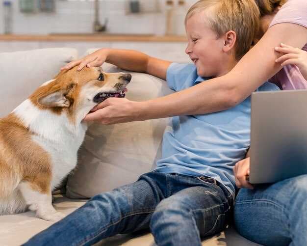 Pet Care E-Commerce Leaders - How Chewy, PetMed Express, and Others Compete