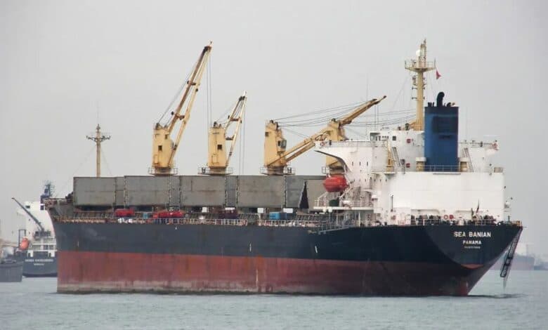 Phoenix Shipping (Wuhan) Embarks on Strategic $60M Investment in Bulker Fleet Expansion