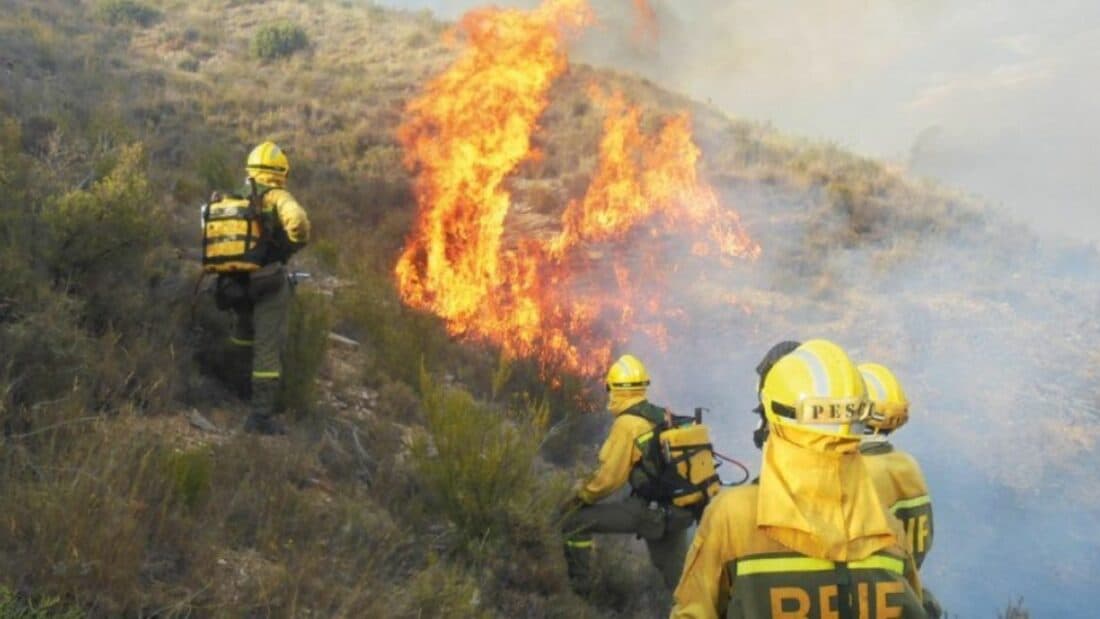 Updated Retirement Age Reduction Coefficients Now Apply to Forest Firefighters