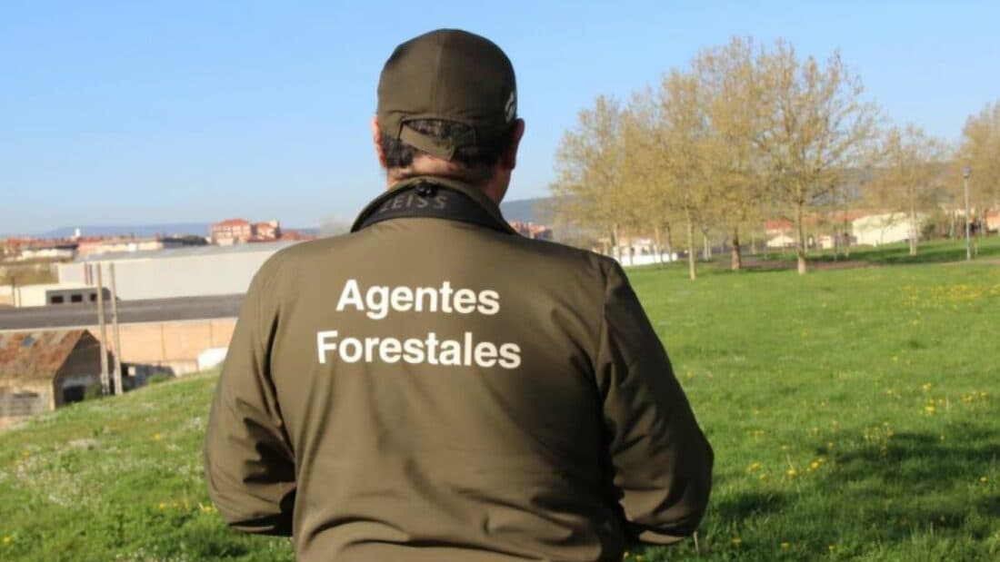 New Pension Age Reduction Measures for Forest and Environmental Agents Announced by Government