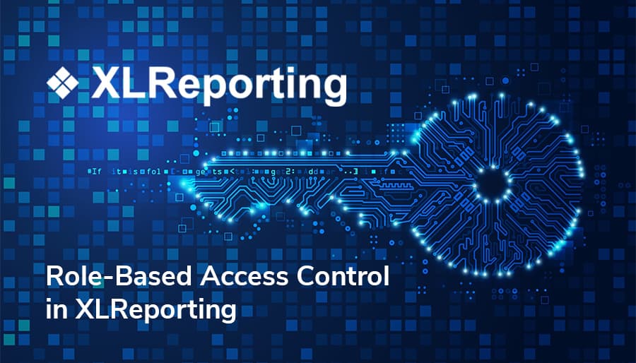 How XLReporting’s Role-Based Access Control Enhances Secure Financial Reporting and Logistics Management