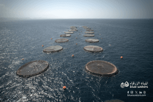 Blue Waters Highlights Sustainable Seafood Innovations at HORECA Oman 2025