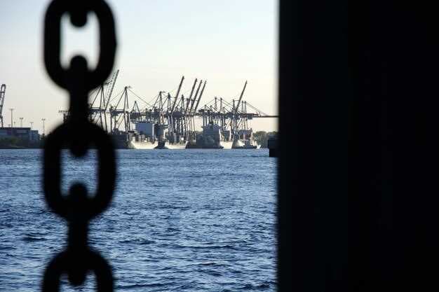 Spanish Dockers Strike - Port Disruptions and Economic Impact