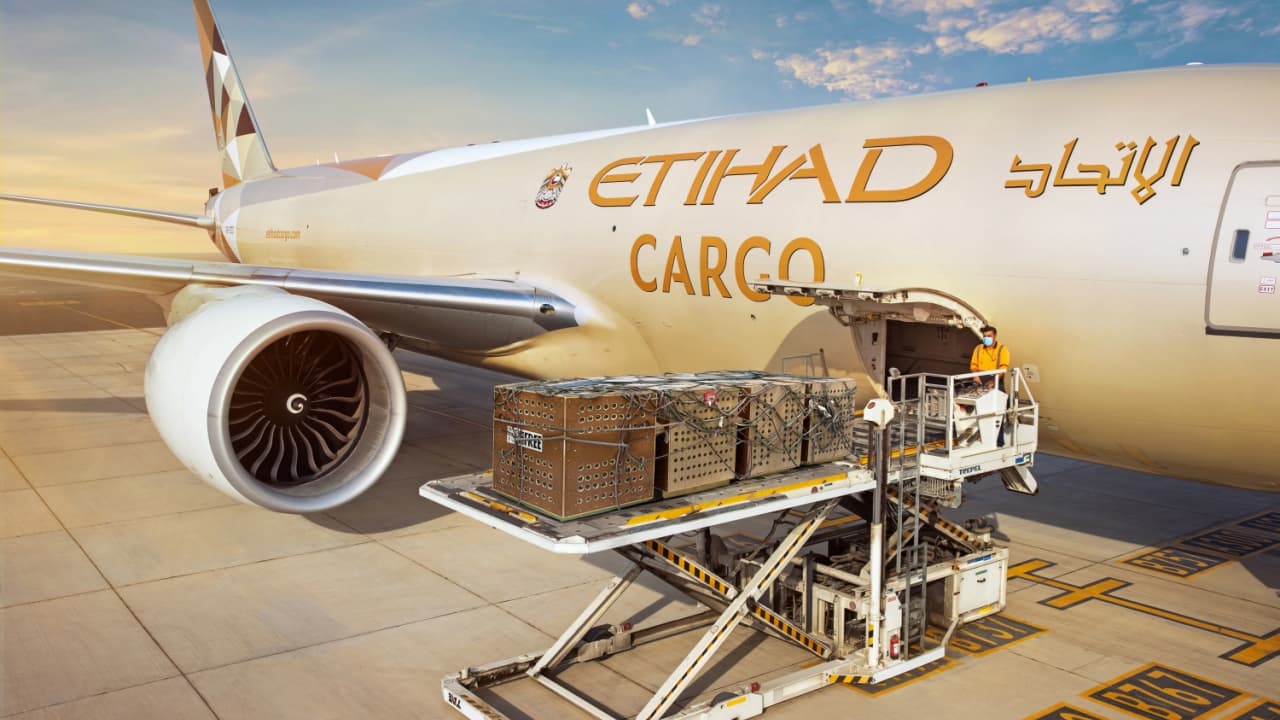 Understanding Etihad Cargo's Strategic Partnership with Ezhou Huahu Airport