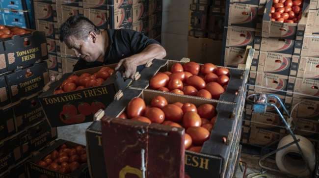 Trump’s Tariff Reductions on Essential Food Imports and Their Effect on Prices and Logistics