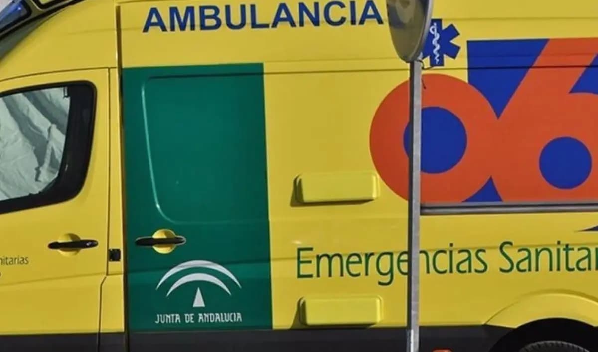 Truck driver's fatal accident on the A-1101 in Almería