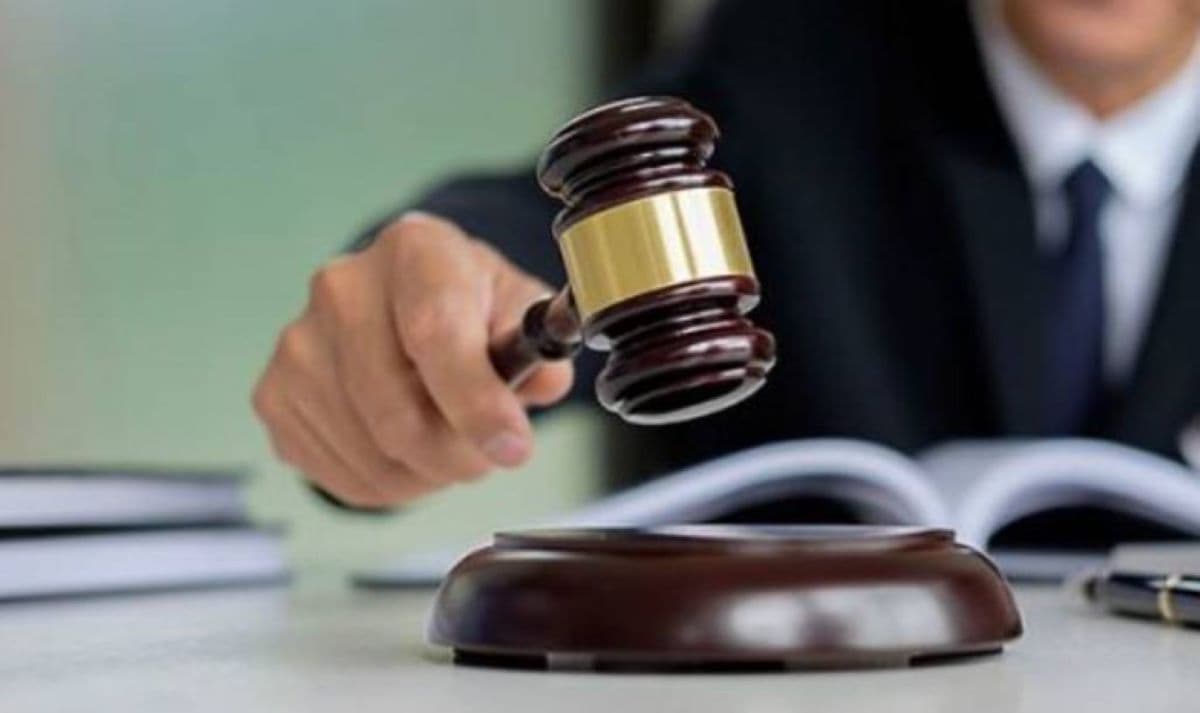 TSJN Validates Termination of Truck Driver Over Lost €30,000 Frozen Vegetable Shipment