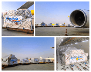 How Dimerco Utilizes Asia Logistics Know-How to Master the Complex 2026 Freight Environment