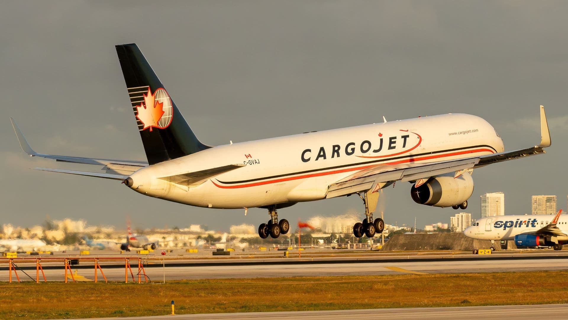 How UPS Overcomes the MD-11 Cargo Jet Grounding to Keep Freight Moving