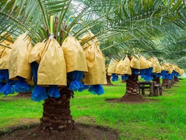 US Blocks Palm Oil Imports from Malaysian Producer Sime Darby