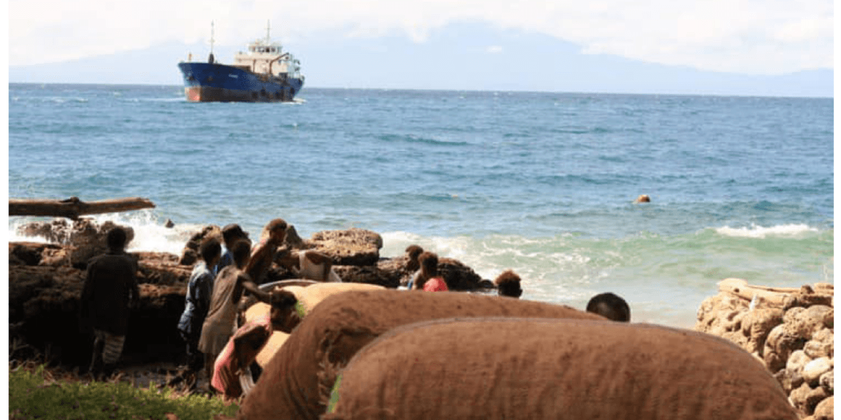 How Shipping Delays and Market Shifts Are Impacting Copra and Cocoa Farmers in Western Province
