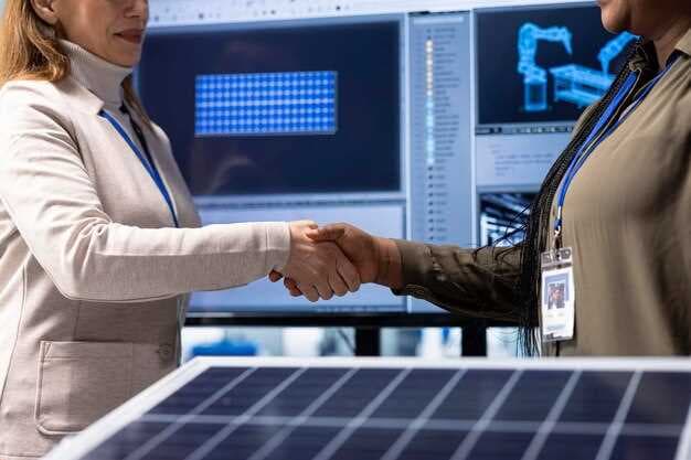 What It Means to Have Up to 3,521 US Tariffs on Solar Imports
