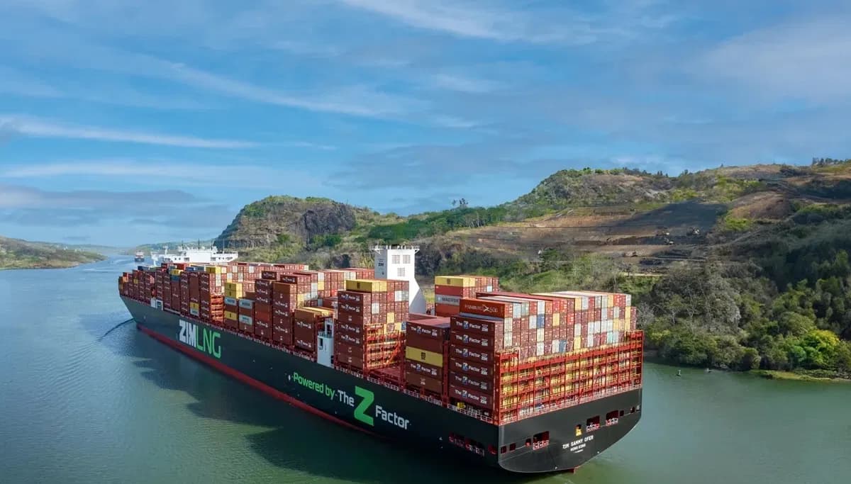 Zim Sees Significant Profit Growth with Increased Container Traffic
